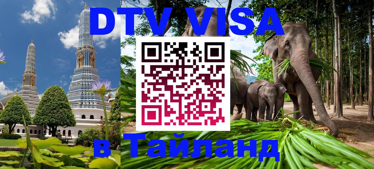 Стоимость и условия DTV визы — оформление в Таиланд под ключ - Тверь  19.11.2025 